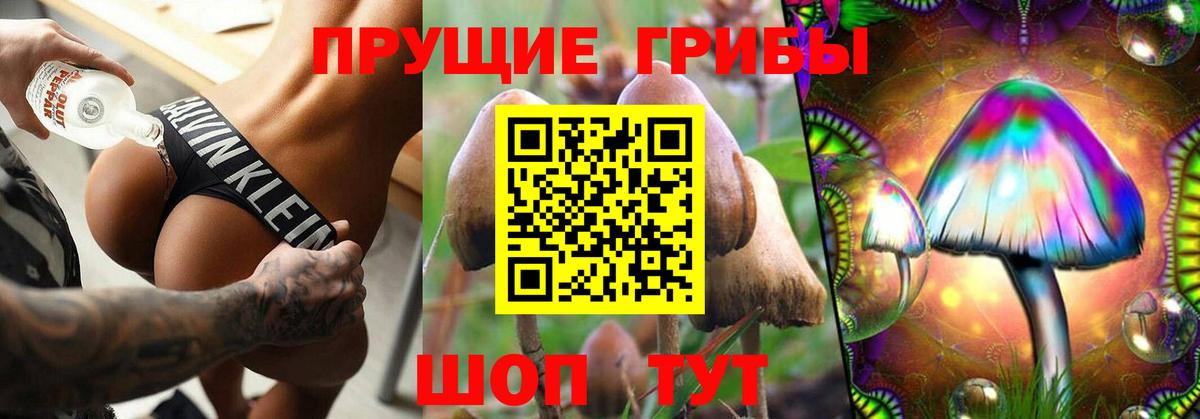 Галлюциногенные грибы Cubensis Канаш