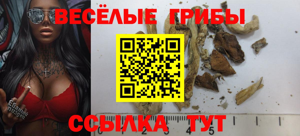 Канаш  Галлюциногенные грибы мицелий  Вход с VPN 